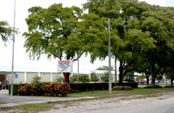 School Campus image